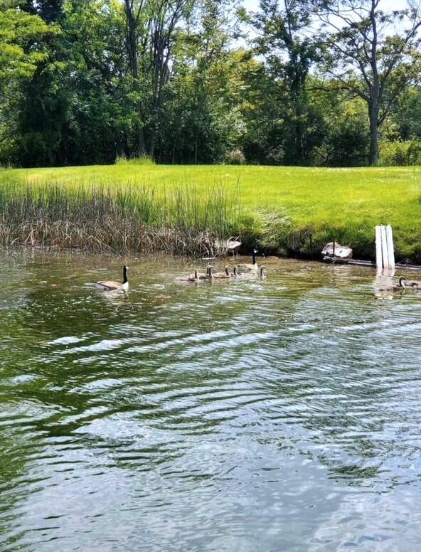 Sturgis, MI 49091,66335 N Centerville Road