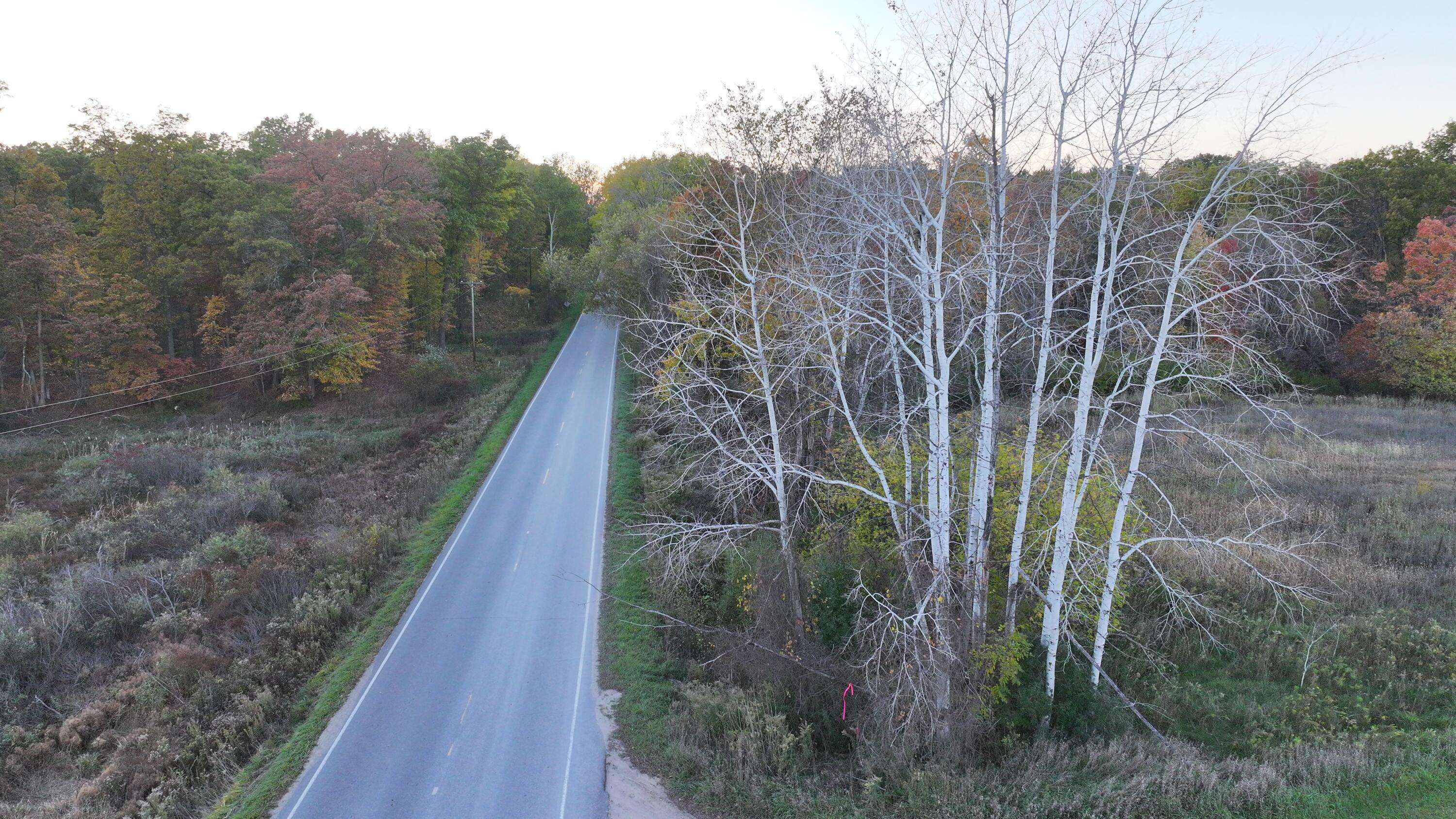 Sand Lake, MI 49343,V/L 136th Street