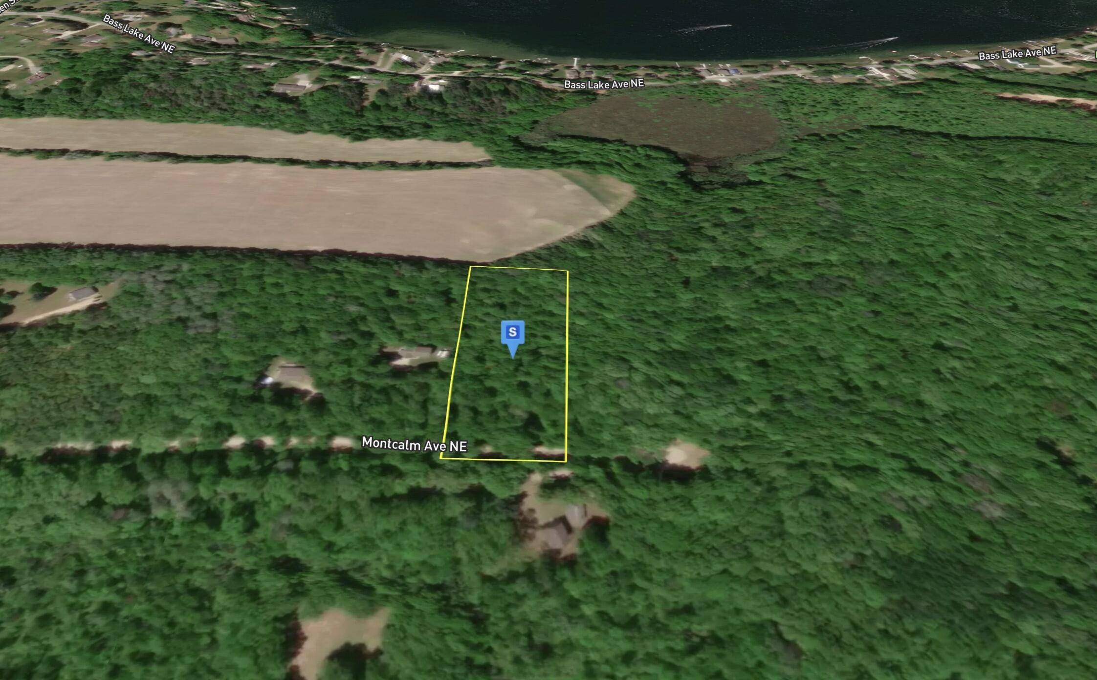 Gowen, MI 49326,16299 Williams Woods