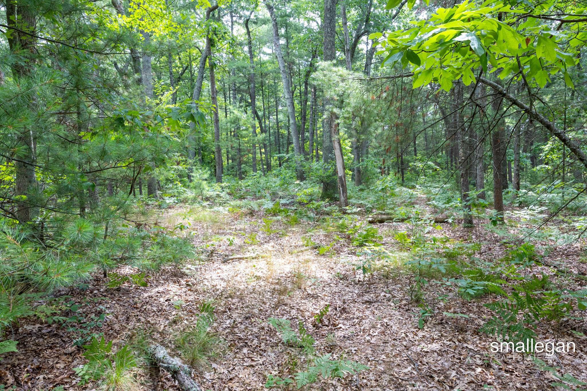 Twin Lake, MI 49457,3747 S Sweet Lake Drive