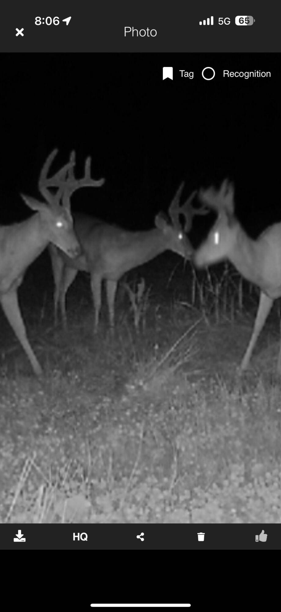 Reading, MI 49274,490 Kelley Road