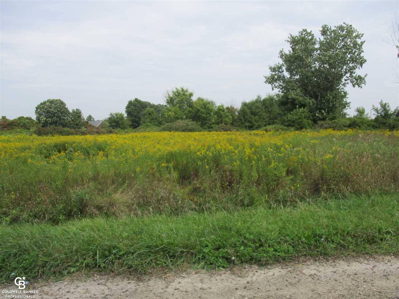 Richmond, MI 48062,00 Angling Rd #6 Road