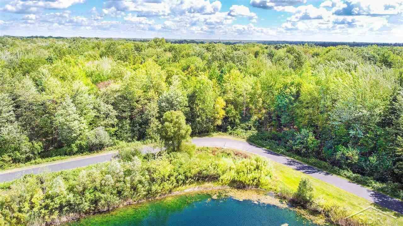 Hemlock, MI 48626,5 Widgeon Way