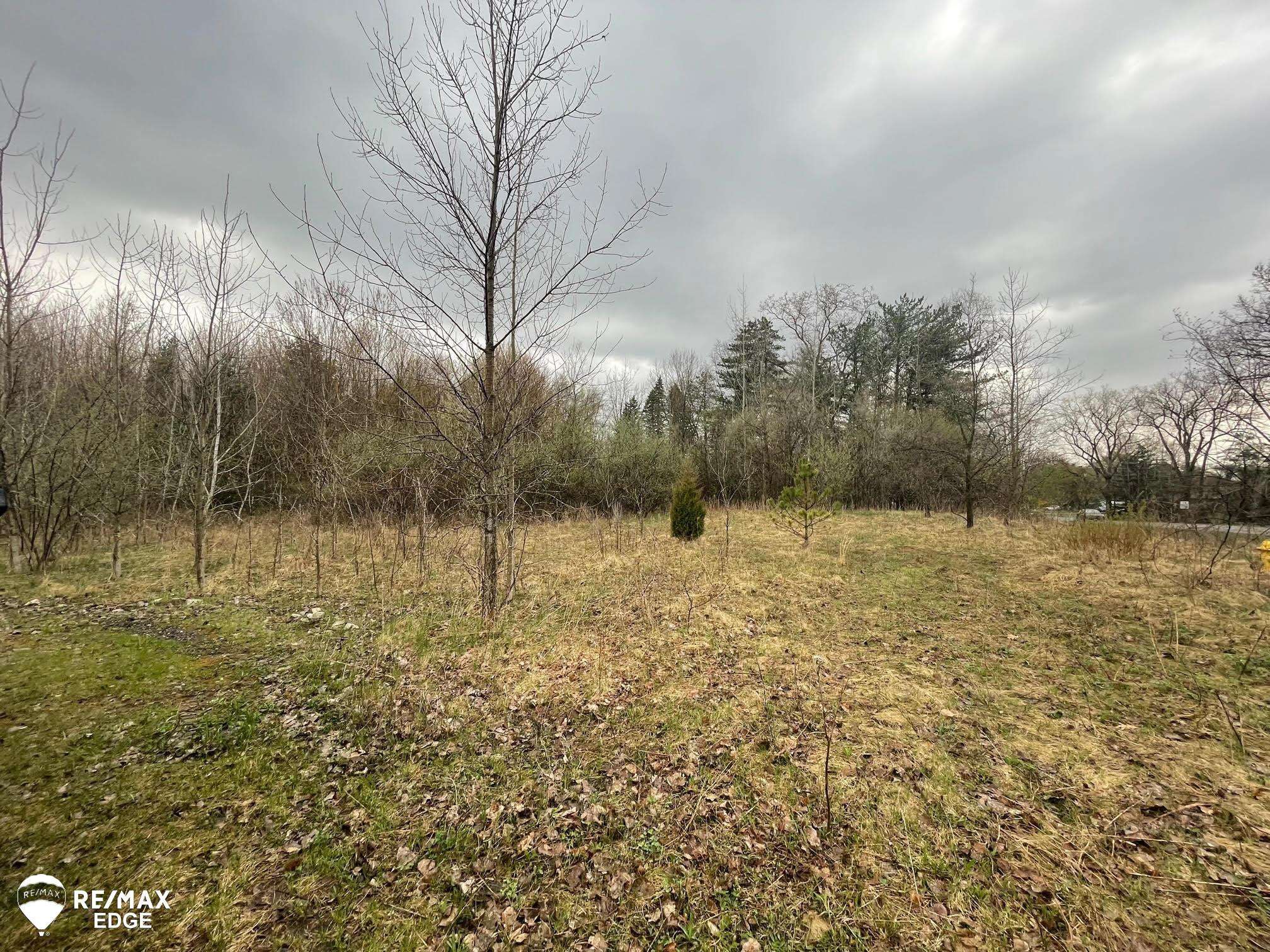 Clio, MI 48420,0 N Linden Road
