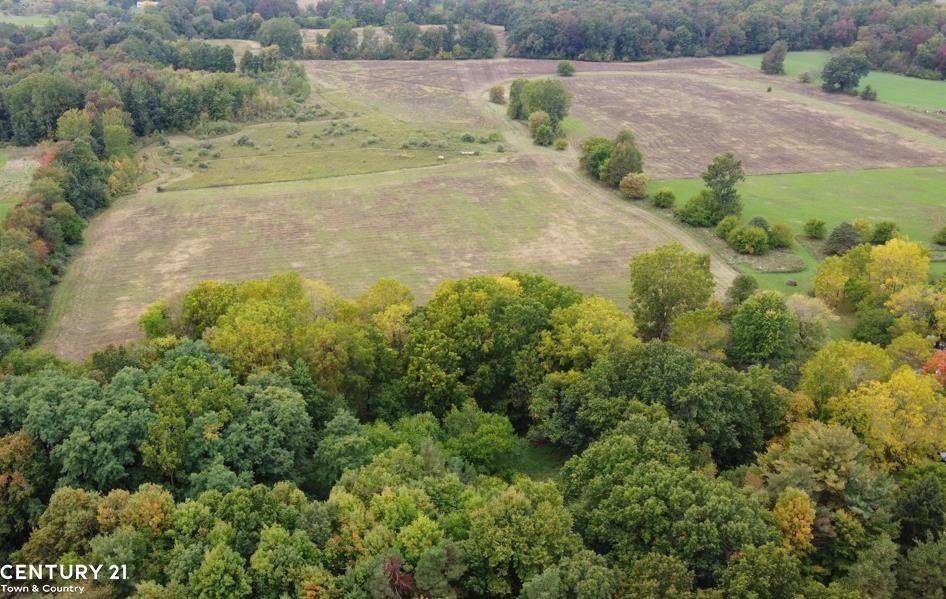 Morrice, MI 48857,0 Gale Road