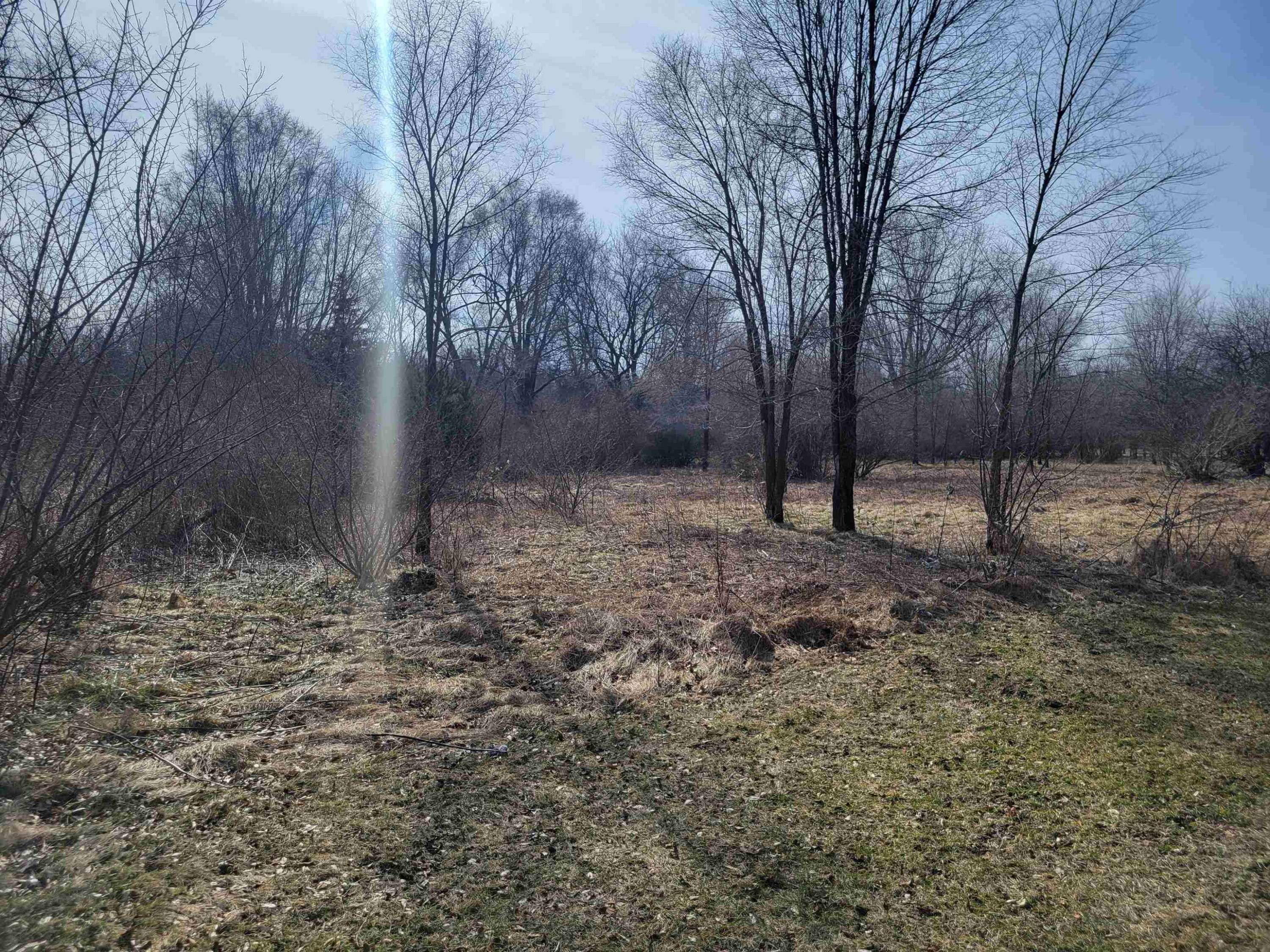 Oakley, MI 48649,18311 Frandsche