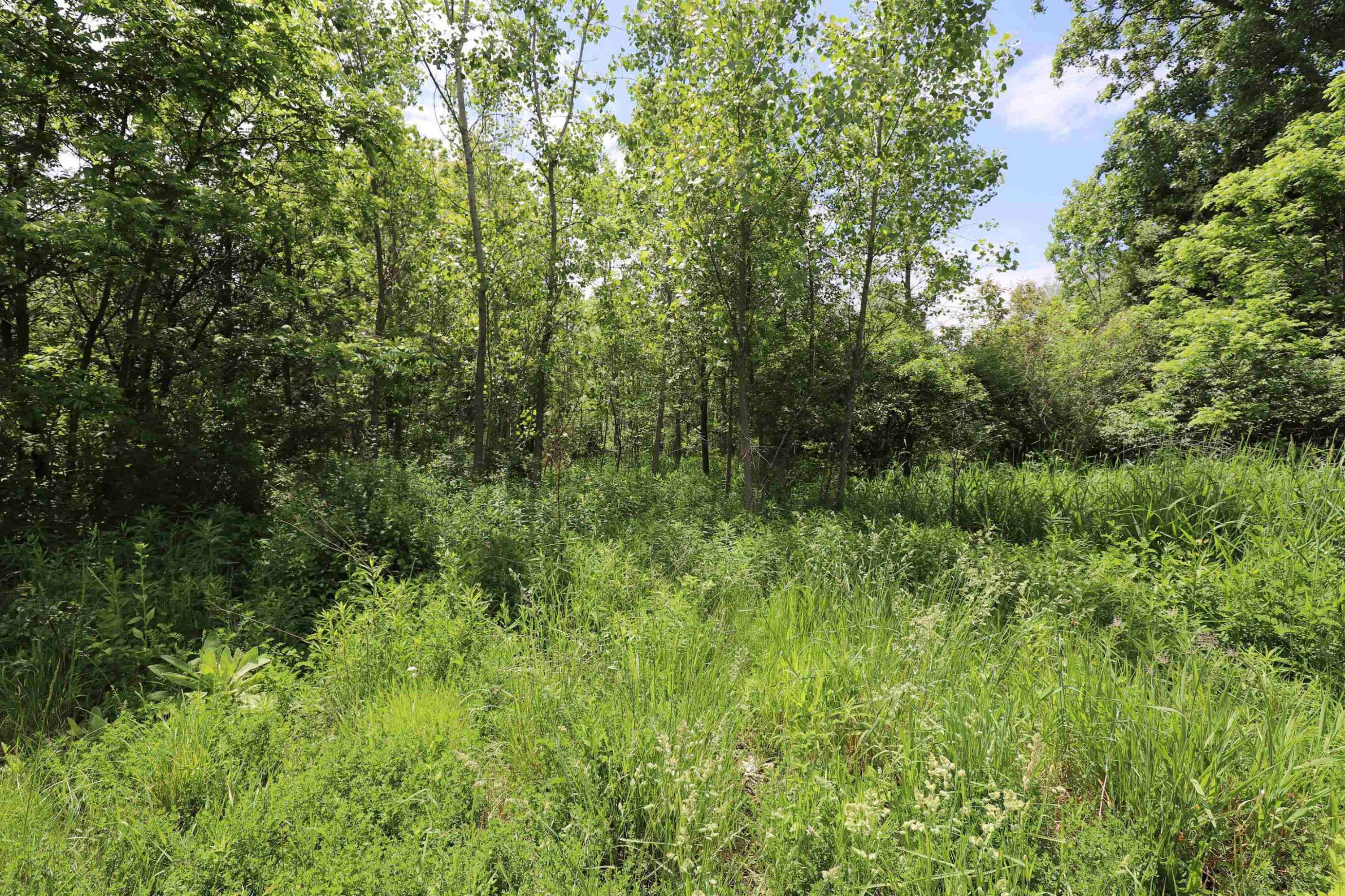 Flushing, MI 48433,Potter Road
