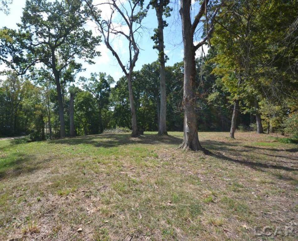 Jerome, MI 49249,Lots 274-276 Southlawn Circle