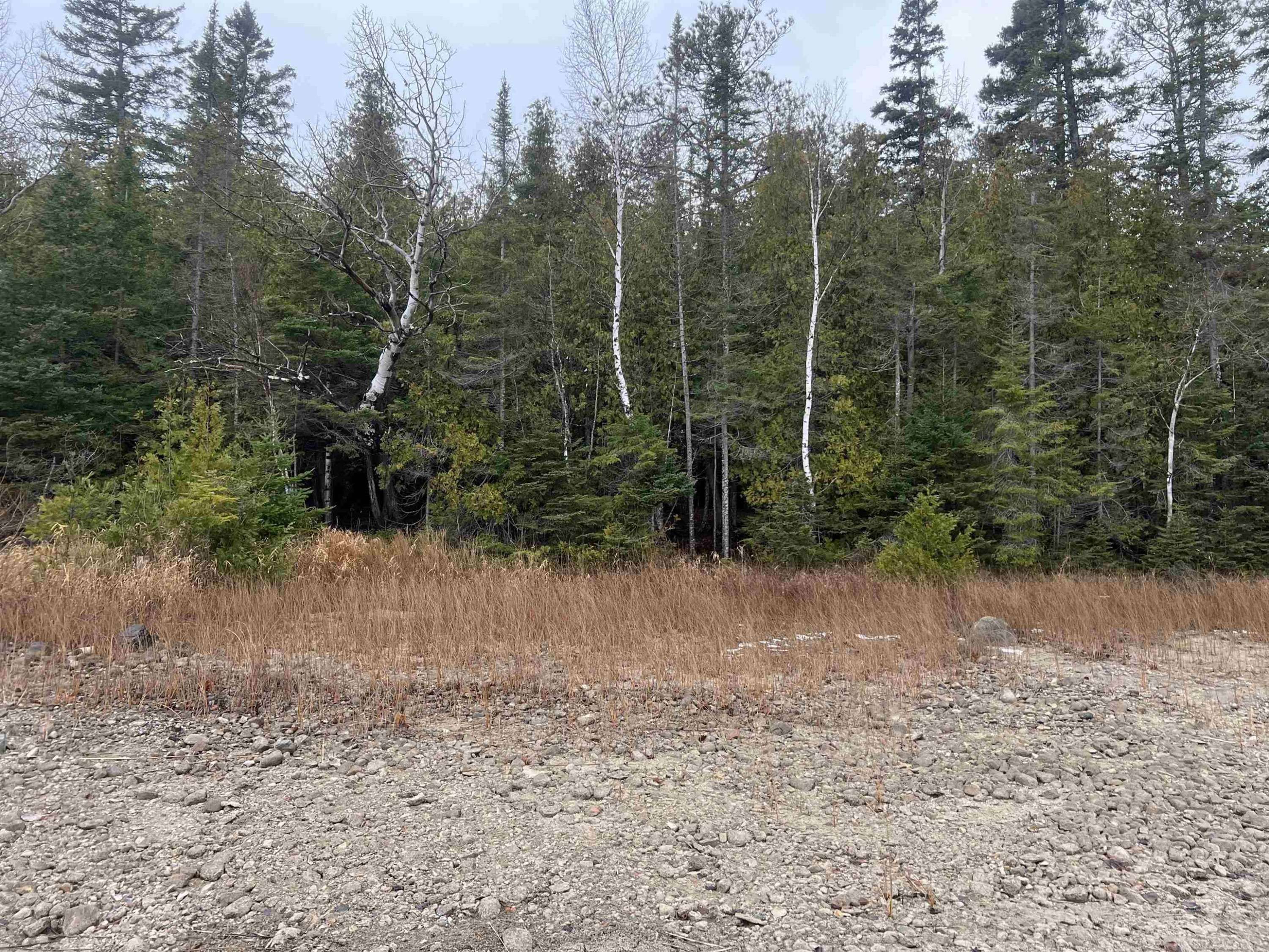 Presque Isle, MI 49777,Pioneer Trail
