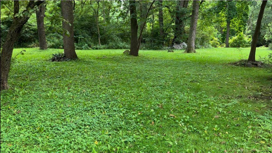 MI,0 Woodland Court