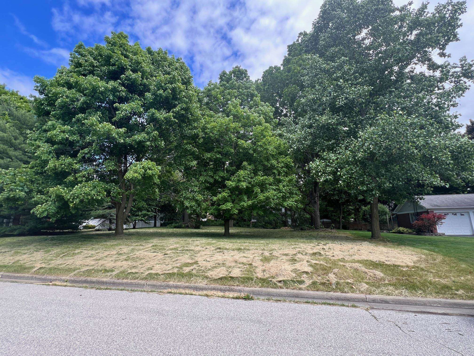 Owosso, MI 48867,1252 Ada Street