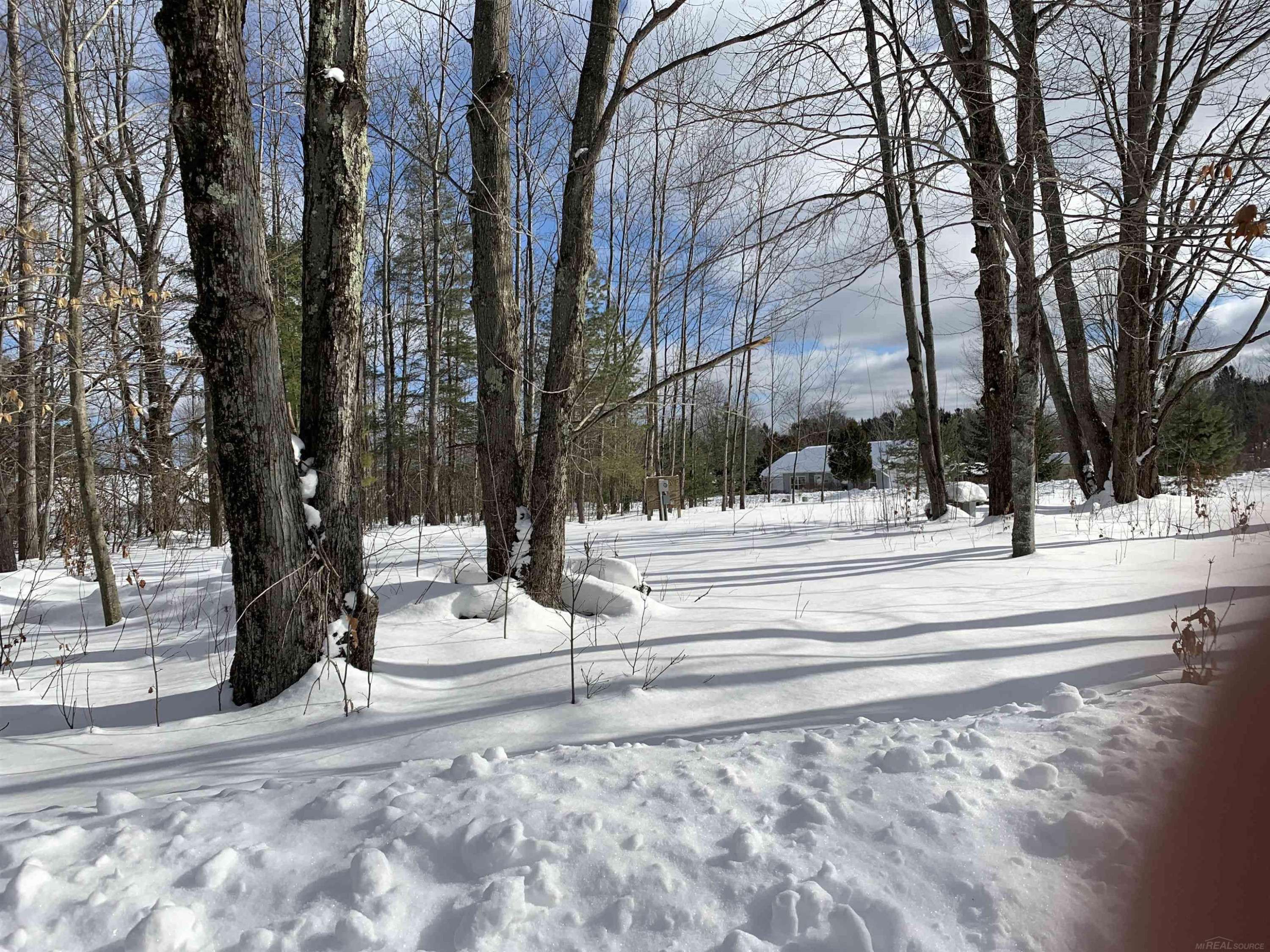 Alanson, MI 49706,6243 Lambert
