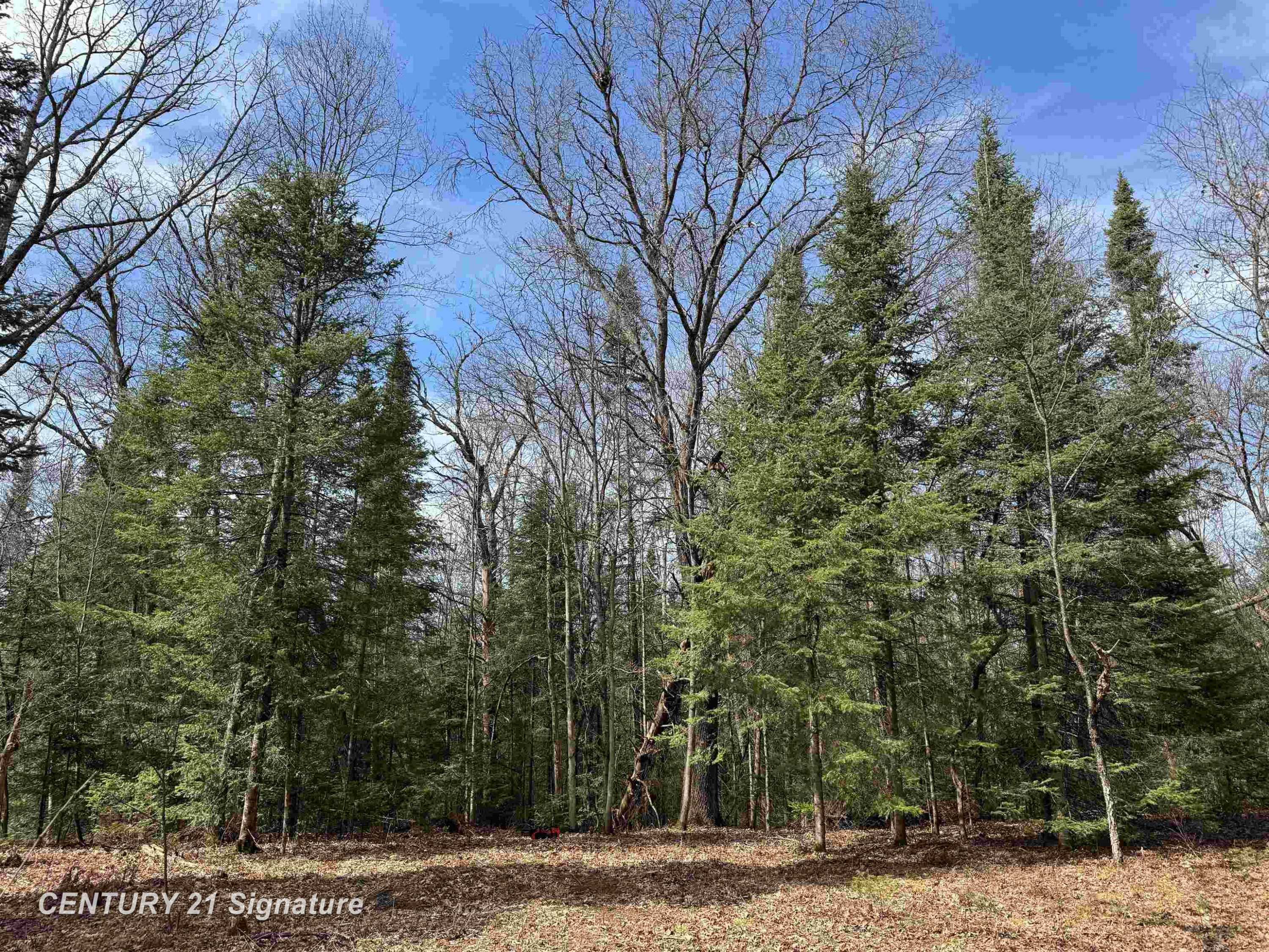 Roscommon, MI 48653,V/L Steckert Bridge Road