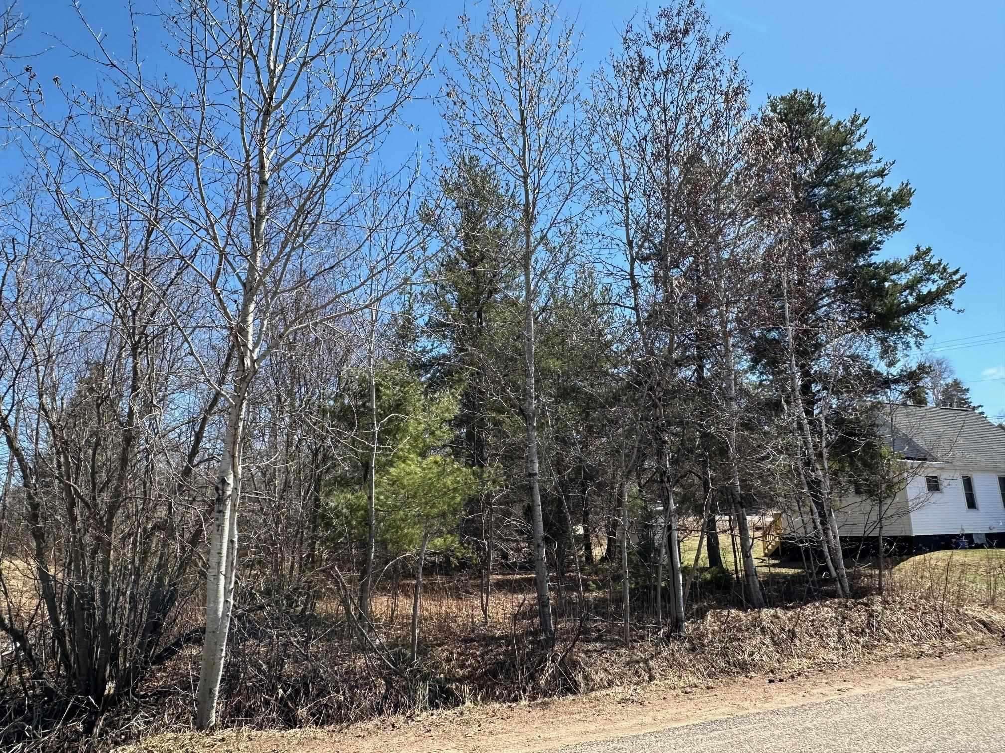 Ishpeming, MI 49849,175 Gold Street