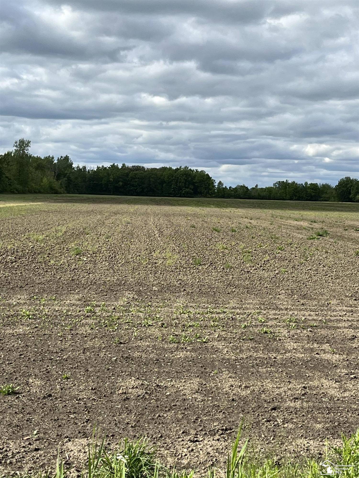 Newport, MI 48166,Post Road