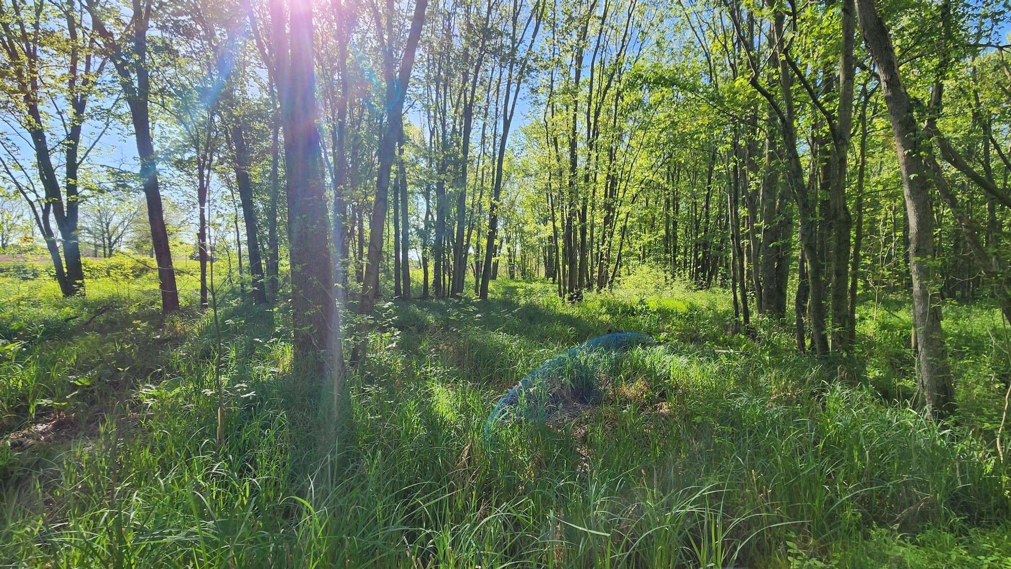 Nashville, MI 49073,8238 Thornapple Lake Road