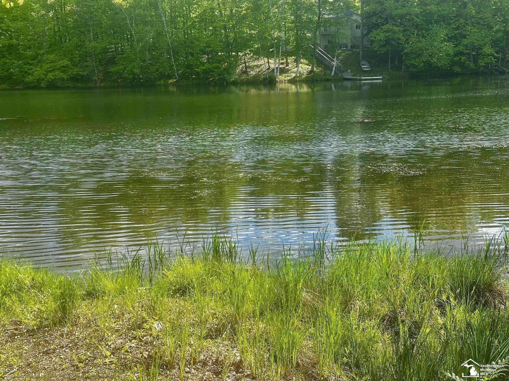 Evart, MI 49631,9846 Miramichi Drive