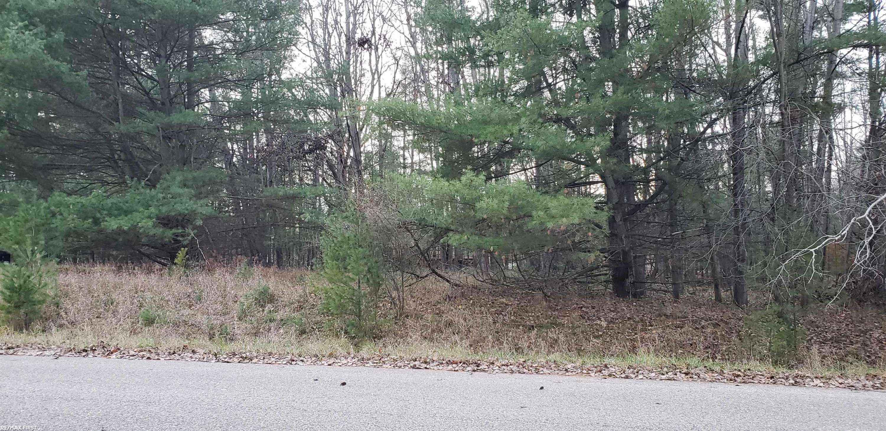 Gladwin, MI 48624,Robindale Way