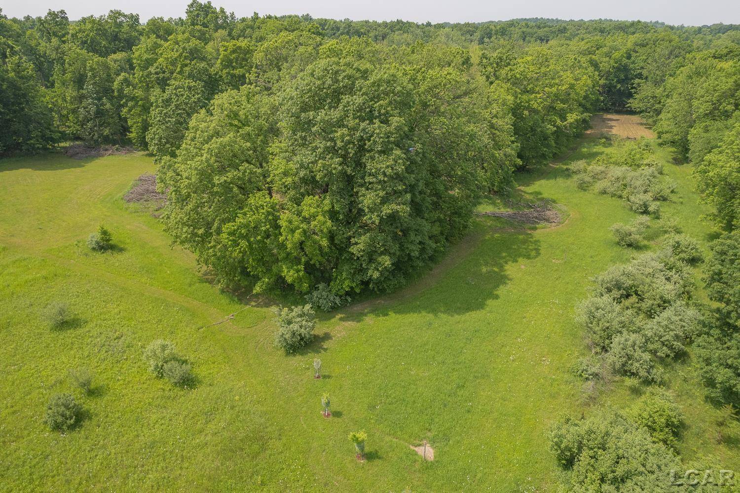 Manchester, MI 48158,18250 Mahrle Road