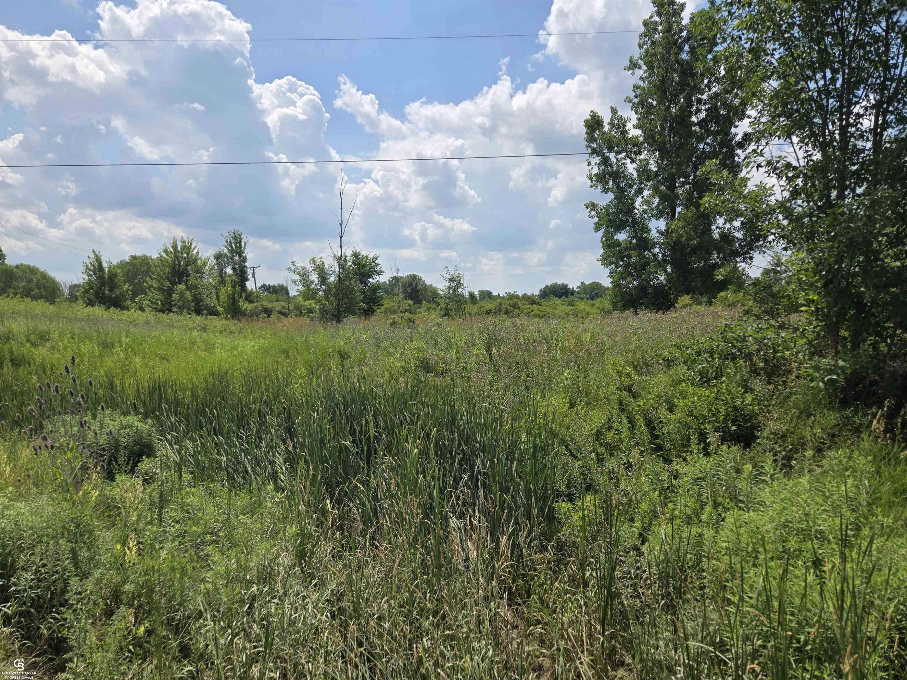 MI,11547 Burt Road
