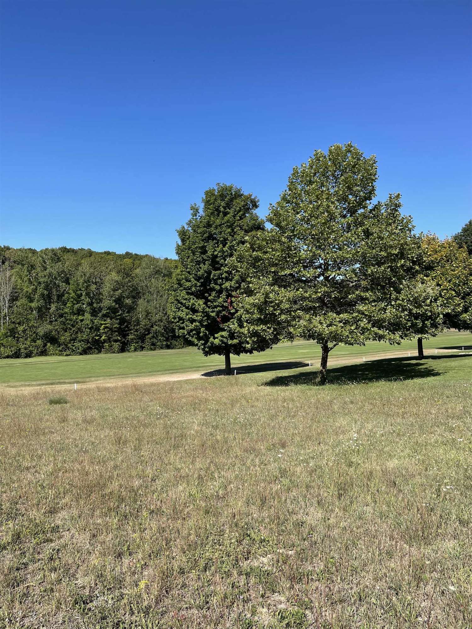 Kewadin, MI 49648,Fairway Court