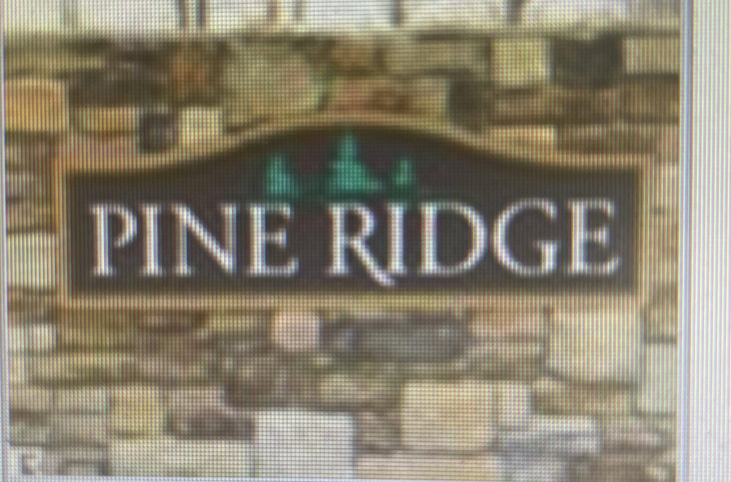 Mount Pleasant, MI 48858,000 Ridge