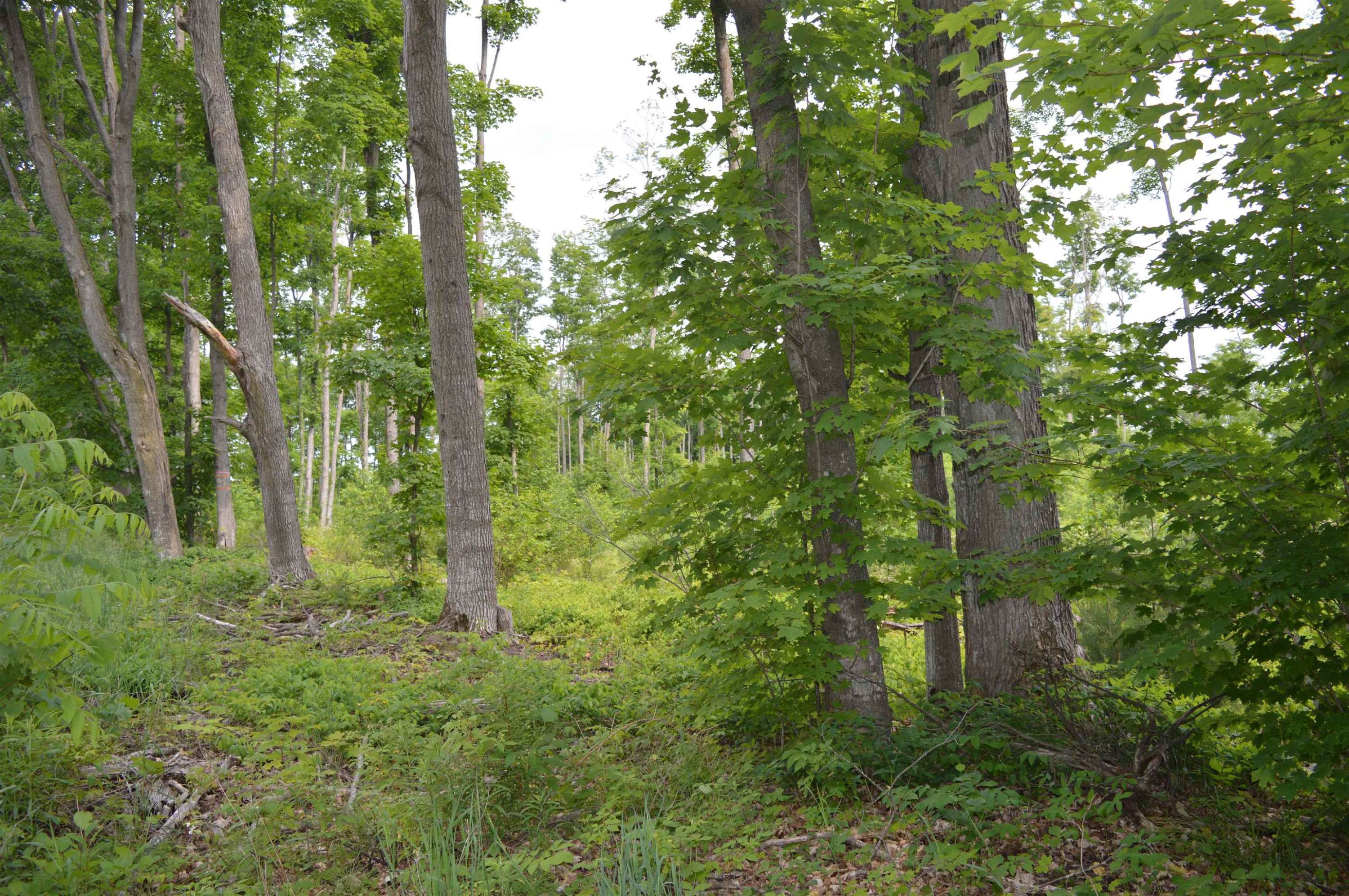 Kingsley, MI 49649,Sparling Road, E
