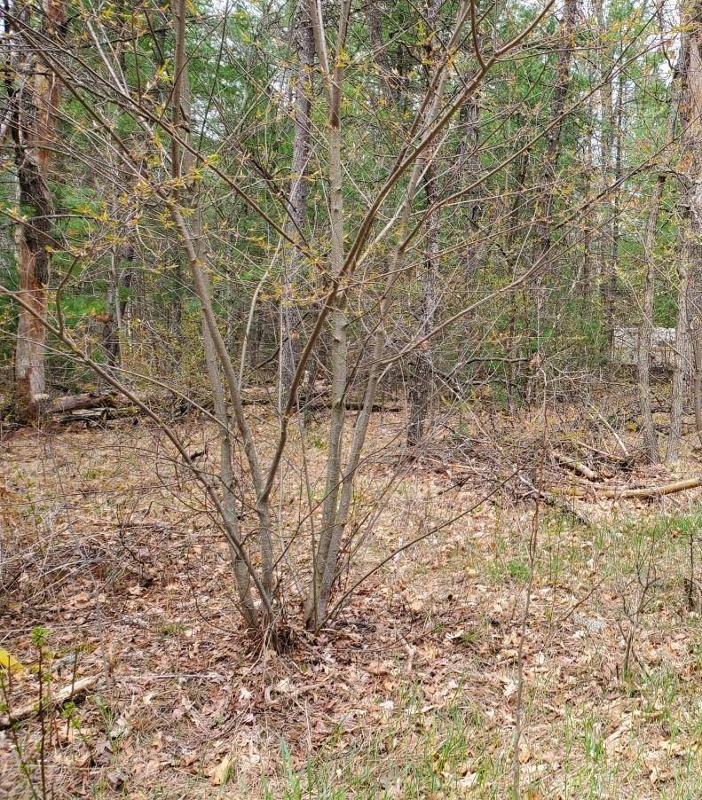 Prescott, MI 48756,0 Silver Creek Drive