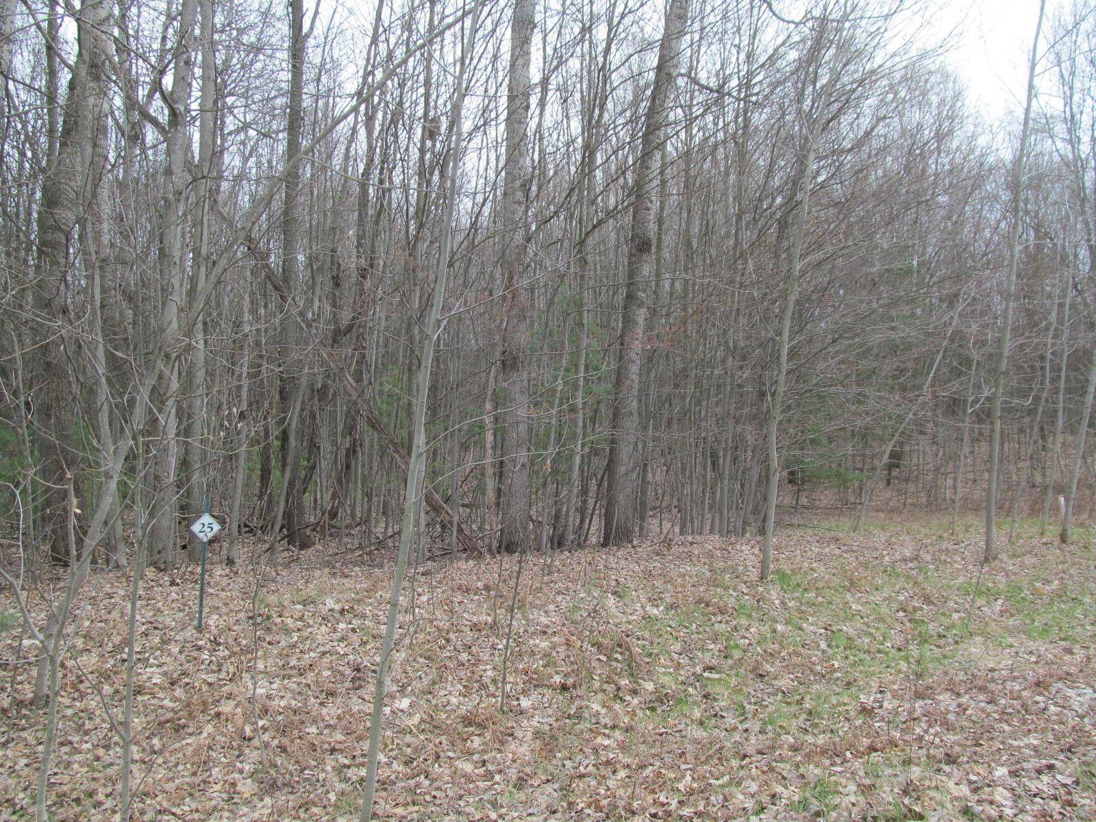 Lake City, MI 49651,Lot 25 River Woods Road