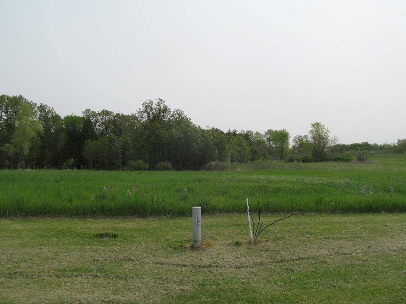 Mcbain, MI 49657,Lot #2 S Hemlock Street