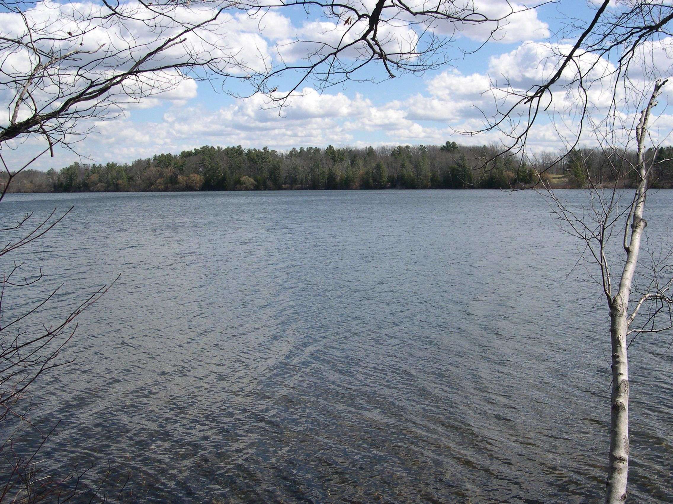 Traverse City, MI 49684,1637 Edgewater Ridge