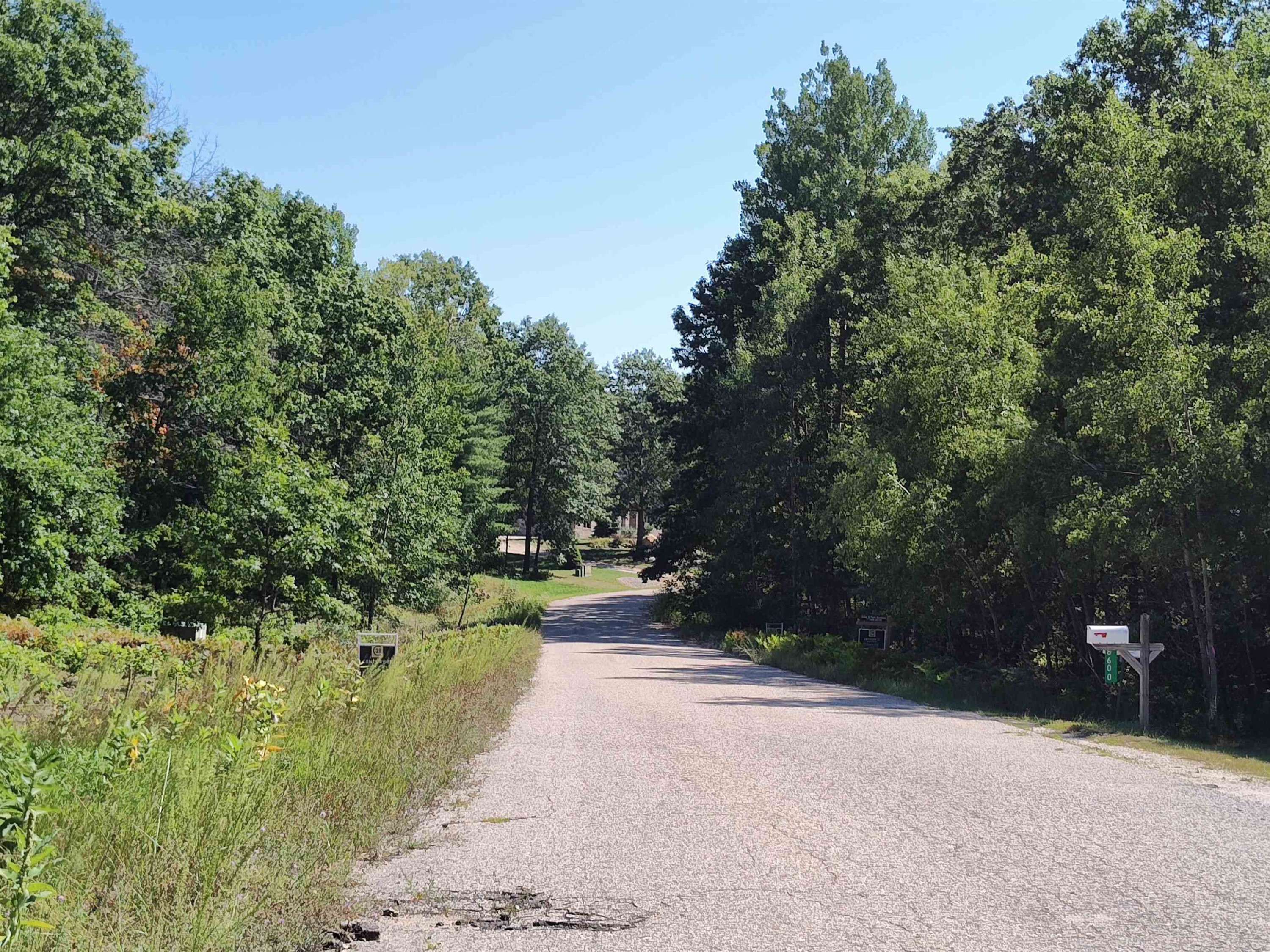 Farwell, MI 48622,Lot 11 N Circle E