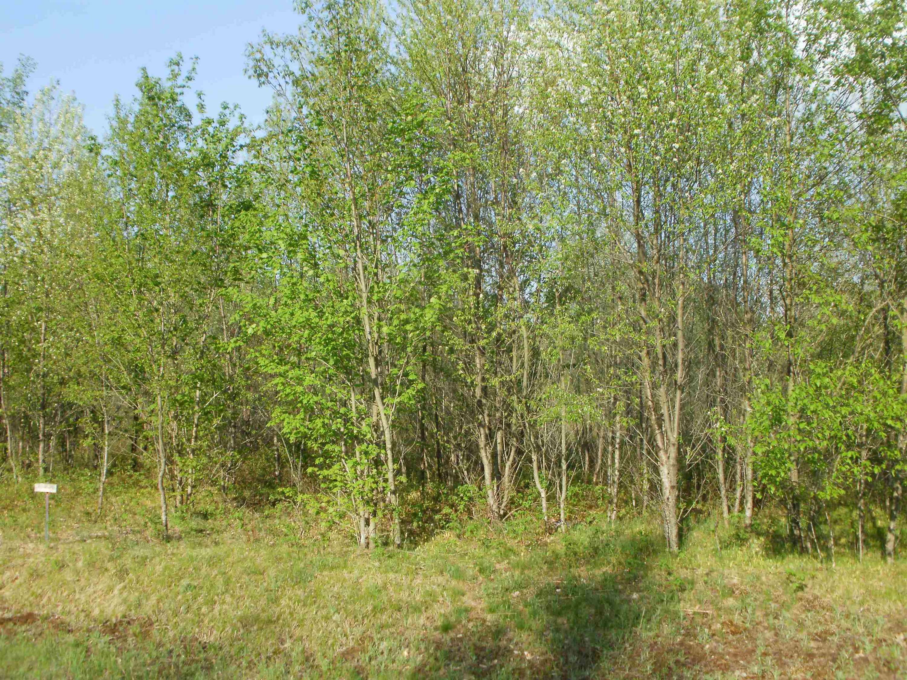 Cadillac, MI 49601,Lot 6 Spring Valley Drive