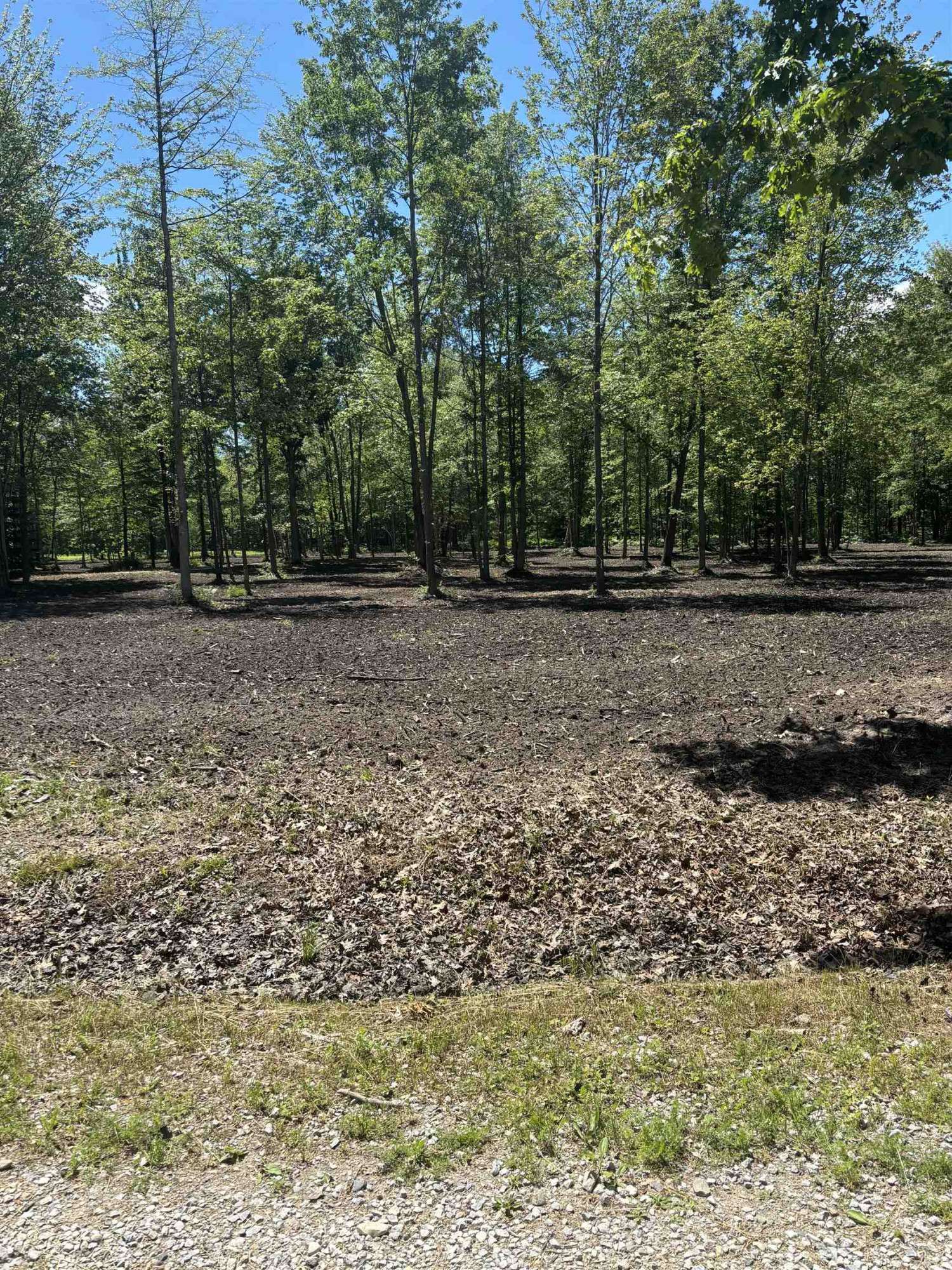 Shepherd, MI 48858,11560 S Lakeside Trail