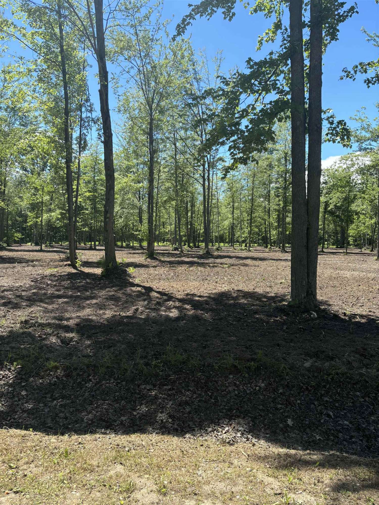 Shepherd, MI 48858,11560 S Lakeside Trail