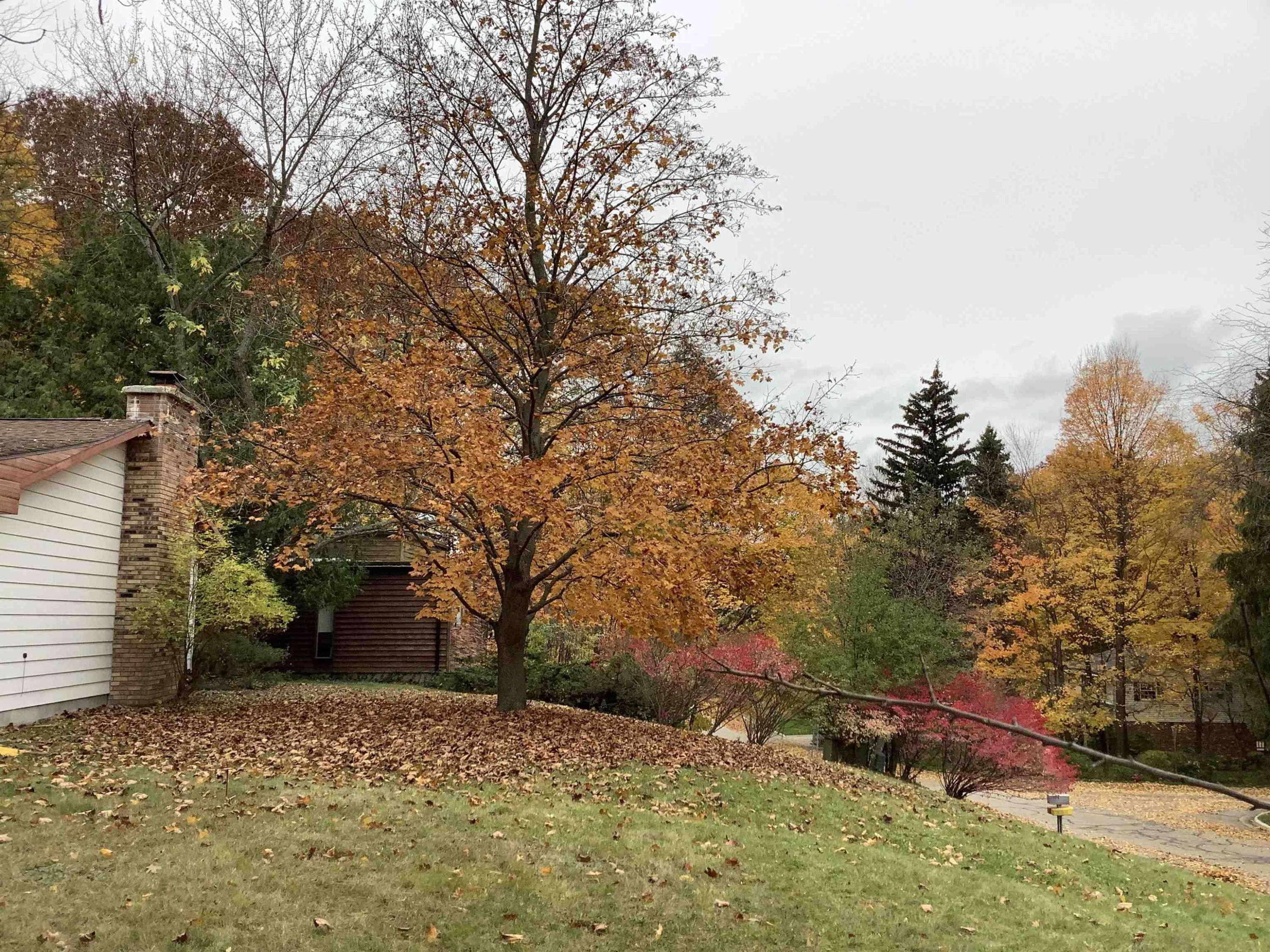 Mount Pleasant, MI 48858,1304 Tomah Drive