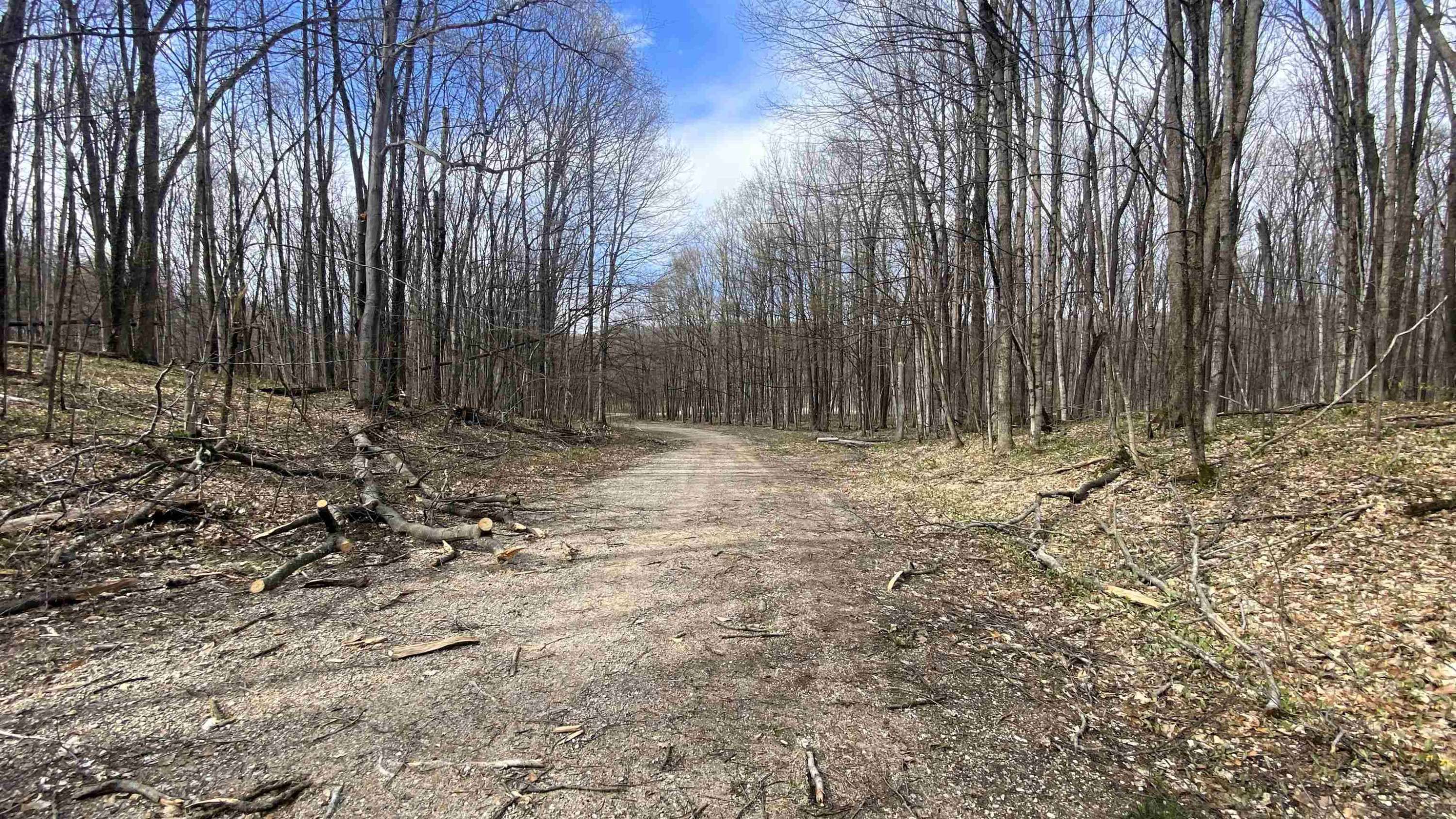 Bellaire, MI 49615,Lots 292-293 Jaeger Strasse