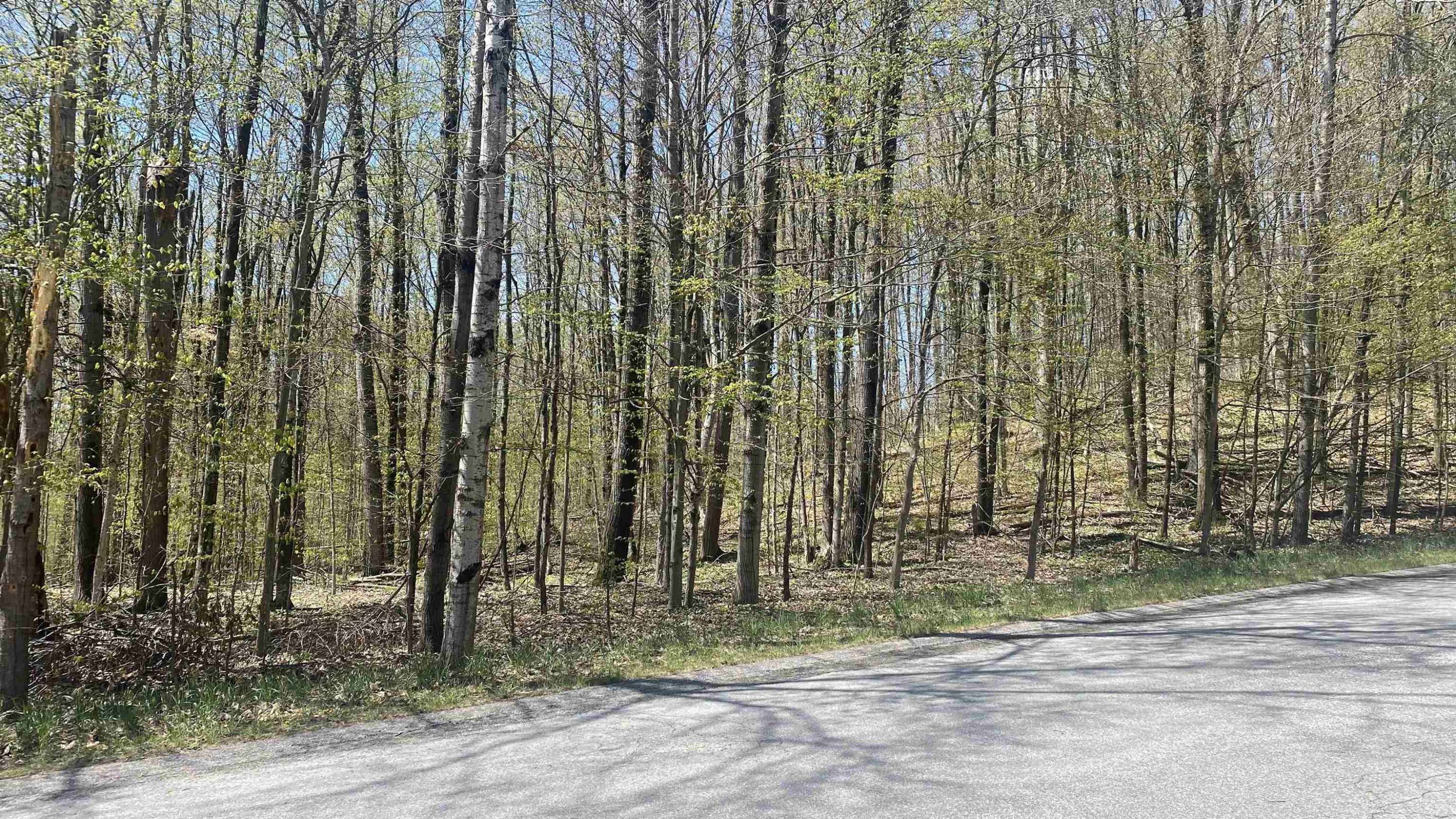 Bellaire, MI 49615,Lot 105-106 East Village Drive