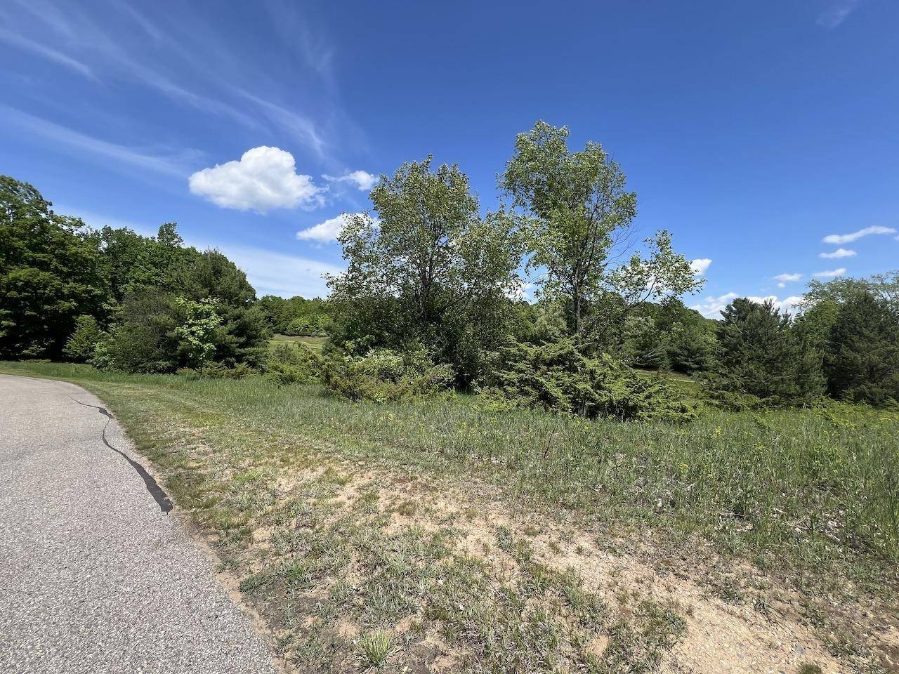 Bellaire, MI 49615,Unit 41 Talon Trace
