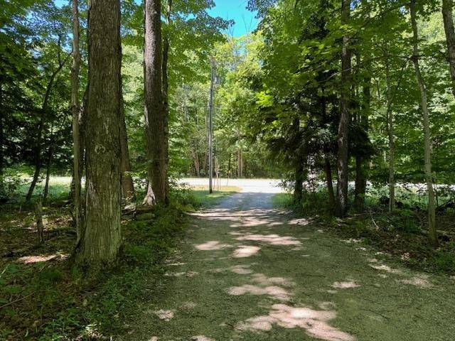 Maple City, MI 49664,3025 W Burdickville