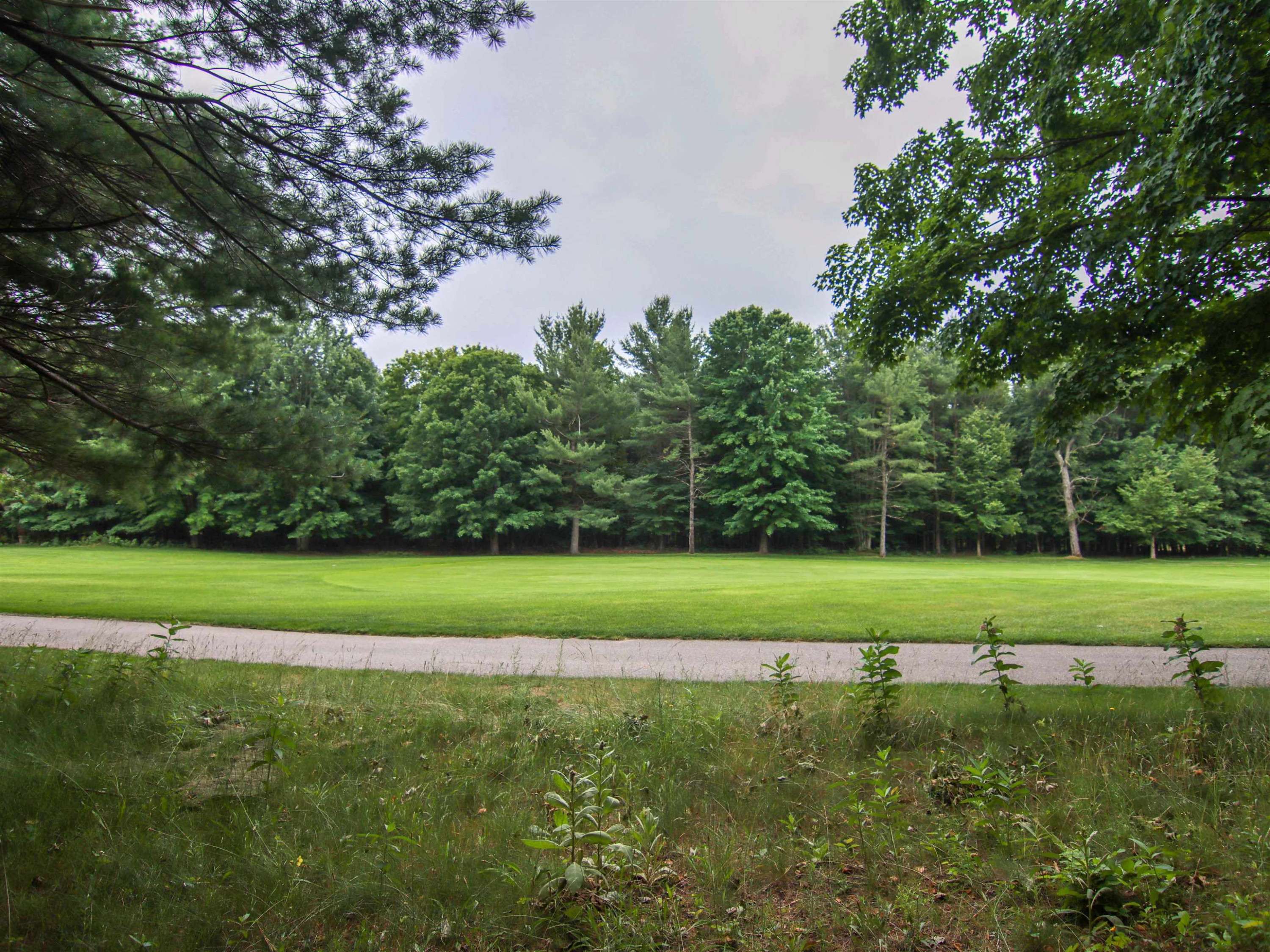 Thompsonville, MI 49683,0000-Unit 41 Trailside