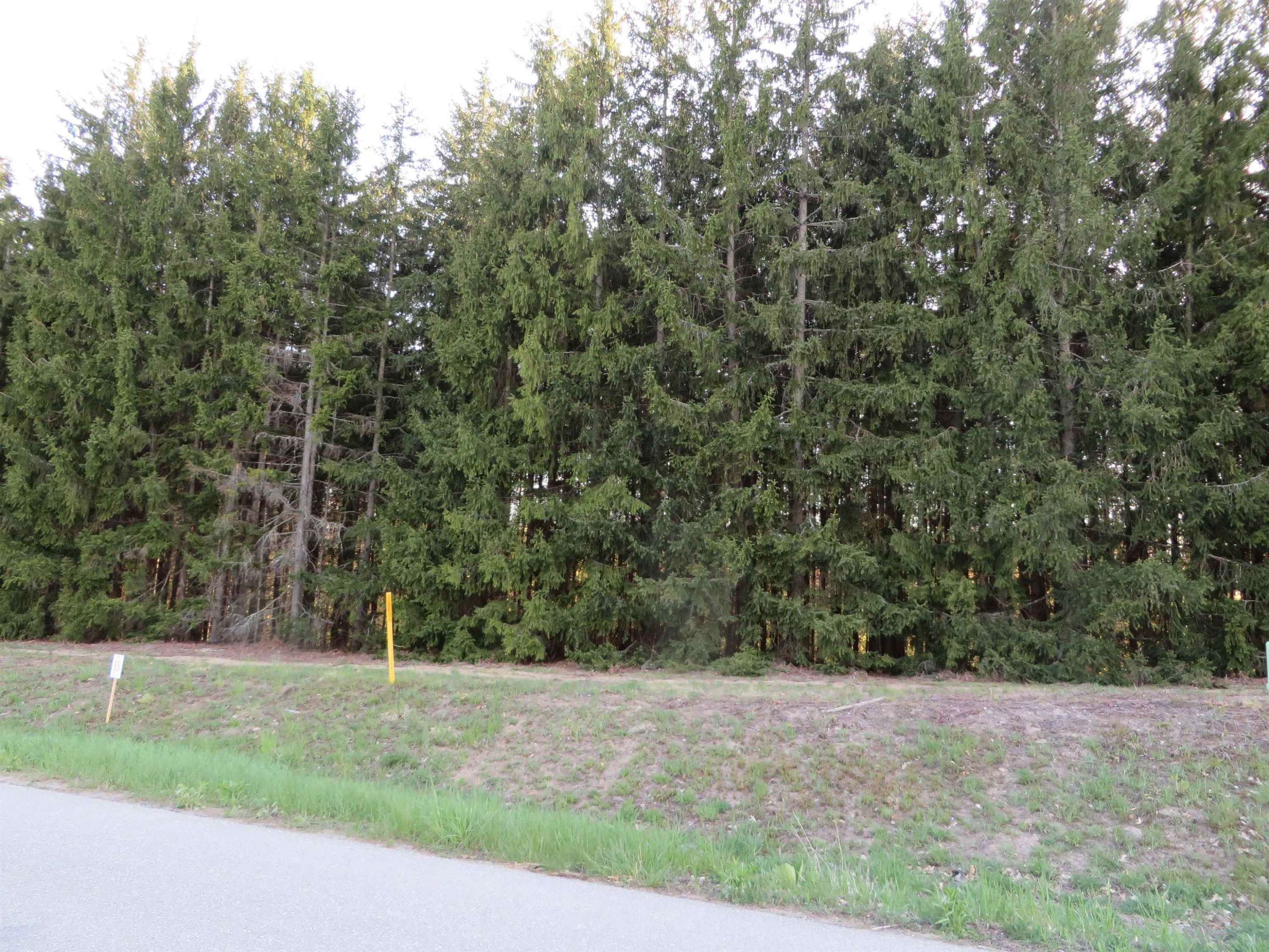 Fife Lake, MI 49633,1015 Spruce Hollow Trace