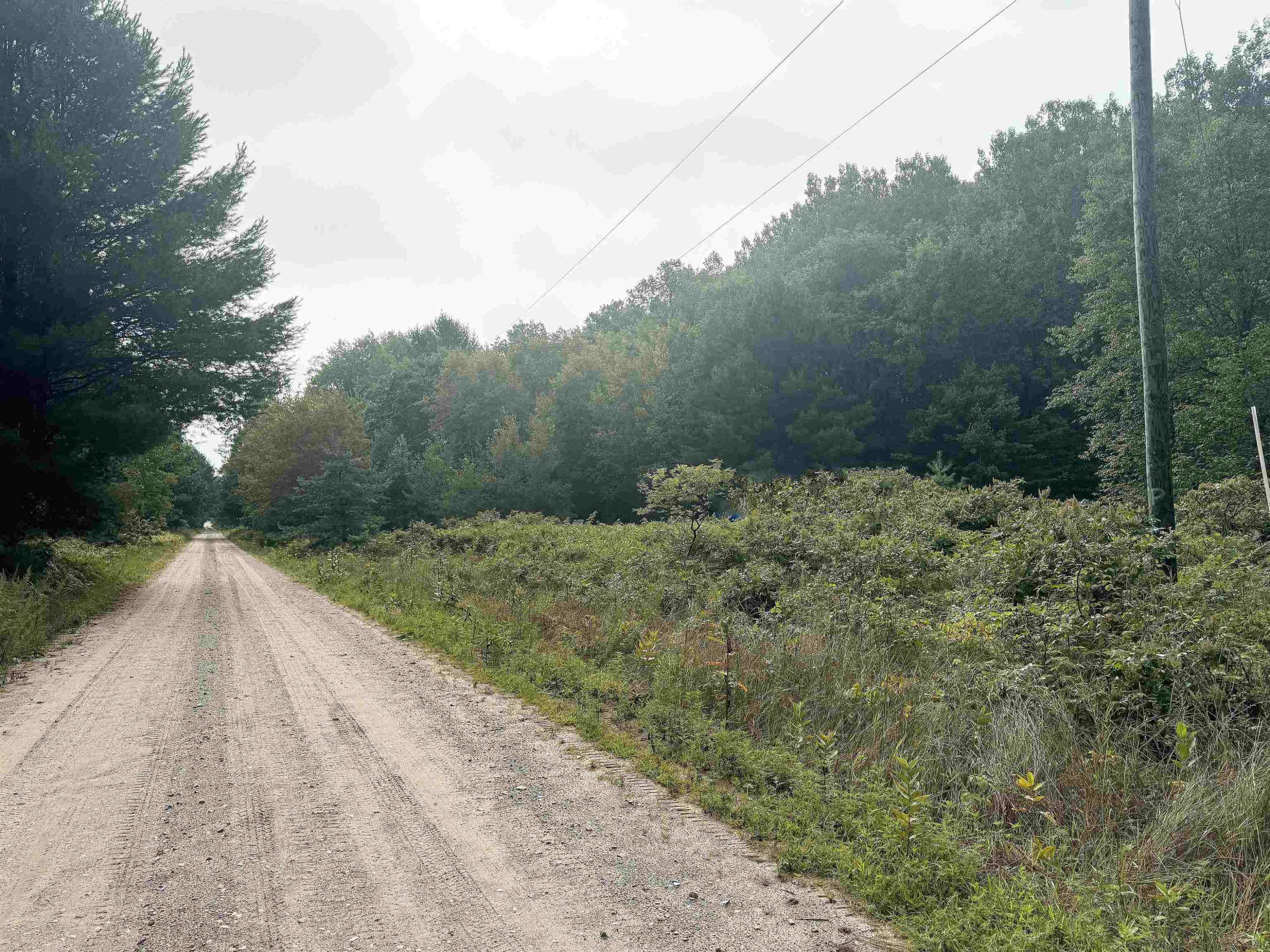 Kaleva, MI 49645,Coe Road
