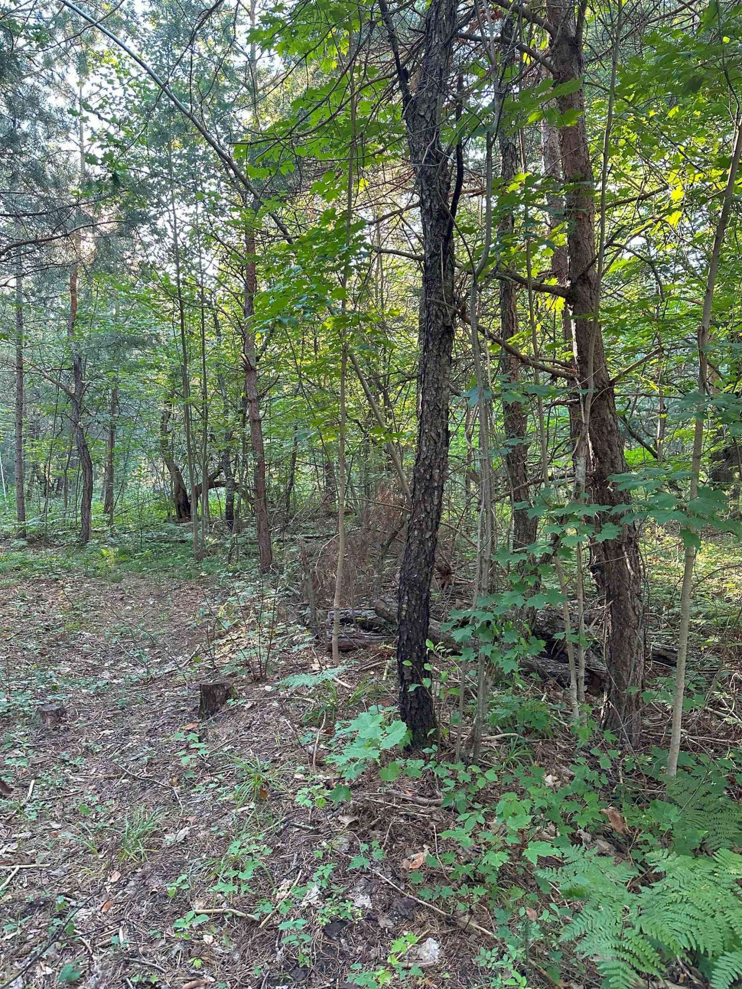 Kalkaska, MI 49646,4487 US-131, NE