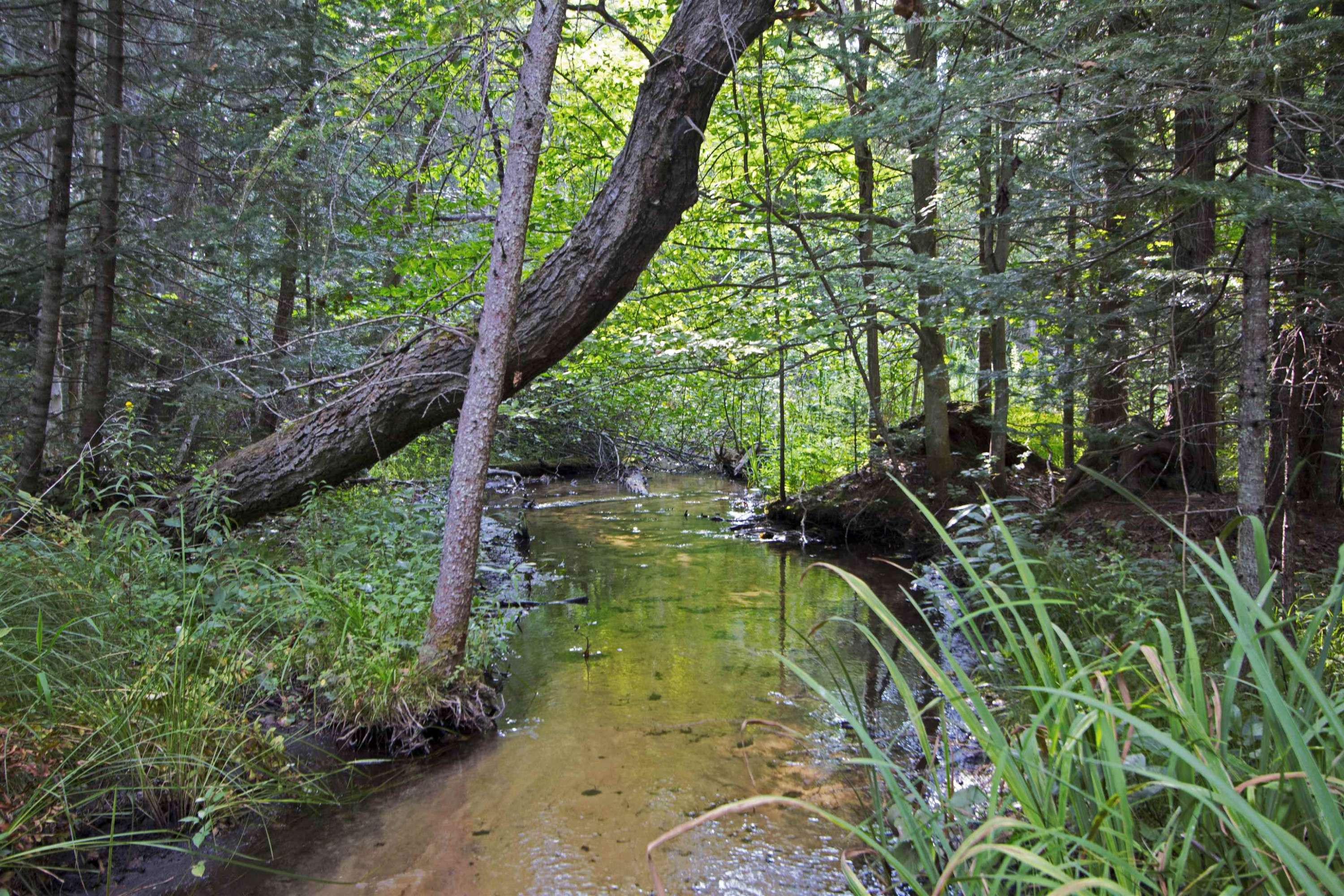 Kalkaska, MI 49646,V/L US-131