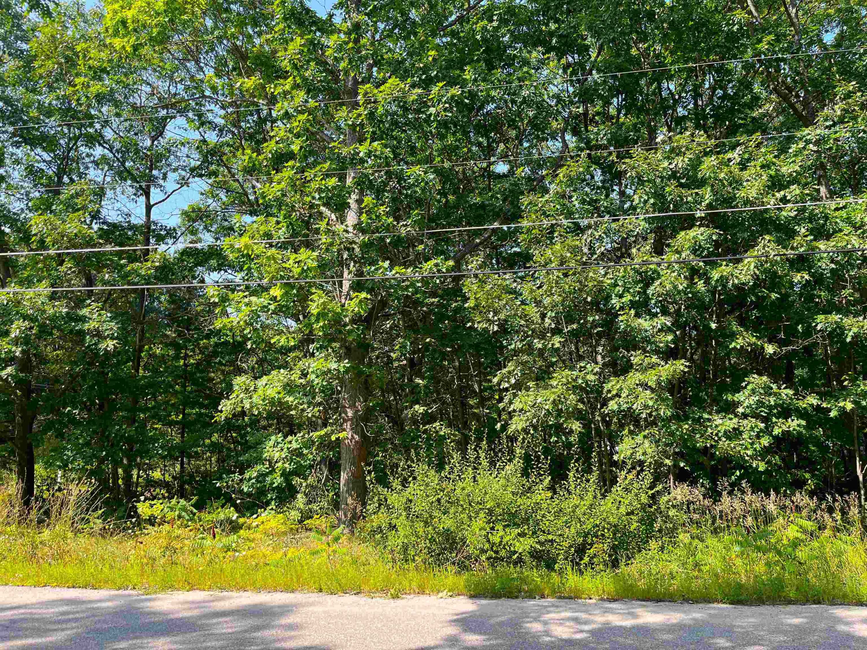 Interlochen, MI 49643,9470 Third Street