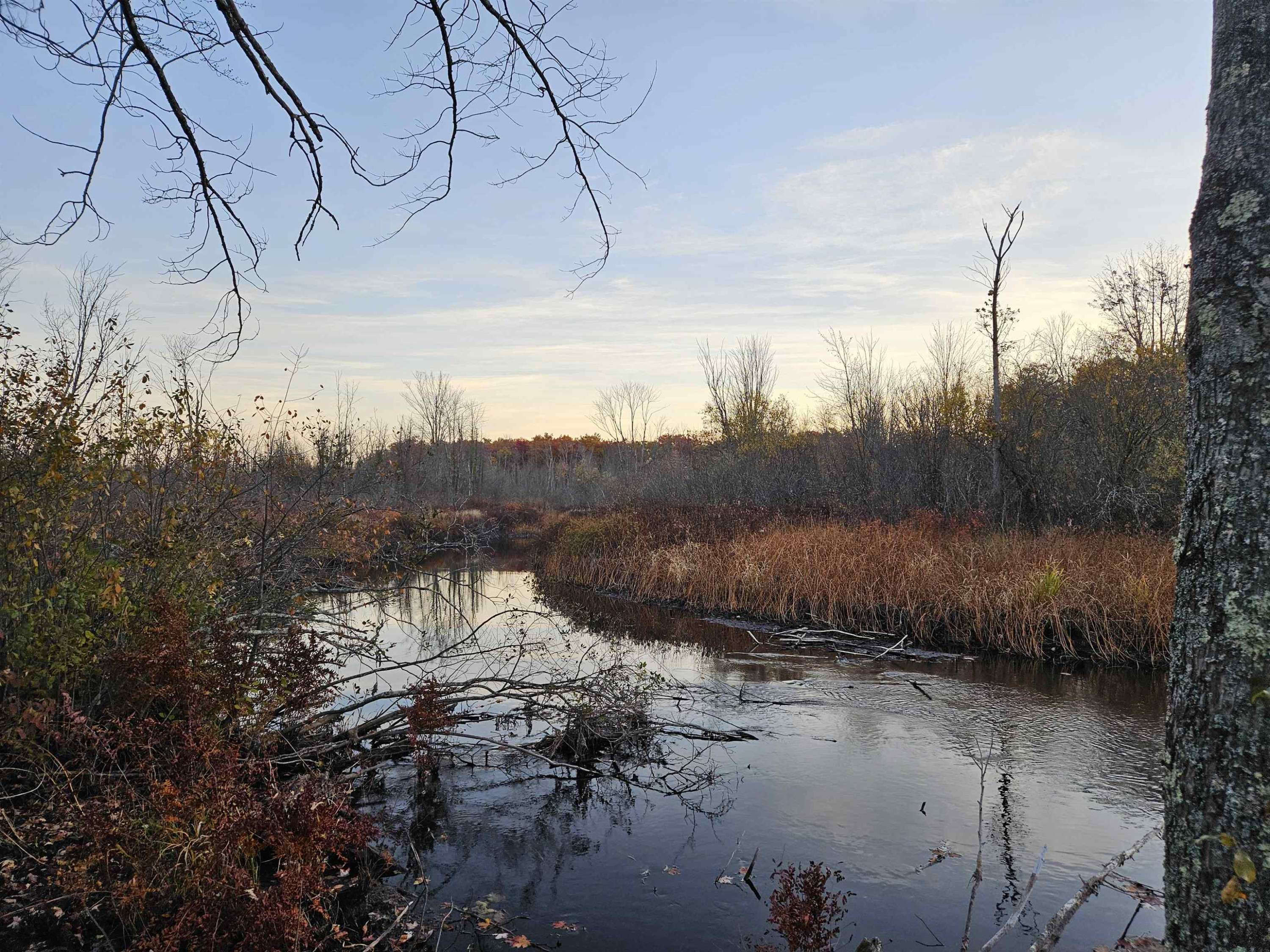 Interlochen, MI 49643,020 Diamond Park Road