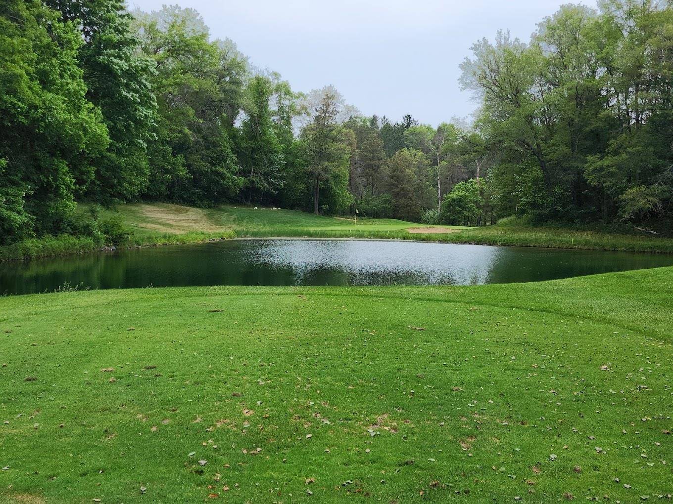 Grayling, MI 49738,31 Birdie Circle