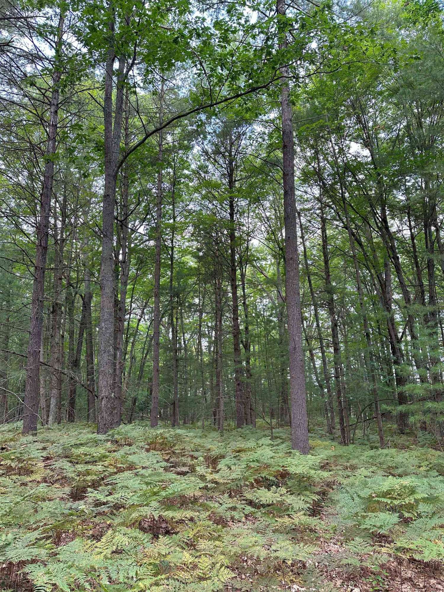 Kalkaska, MI 49646,786 SE Blue Heron Drive
