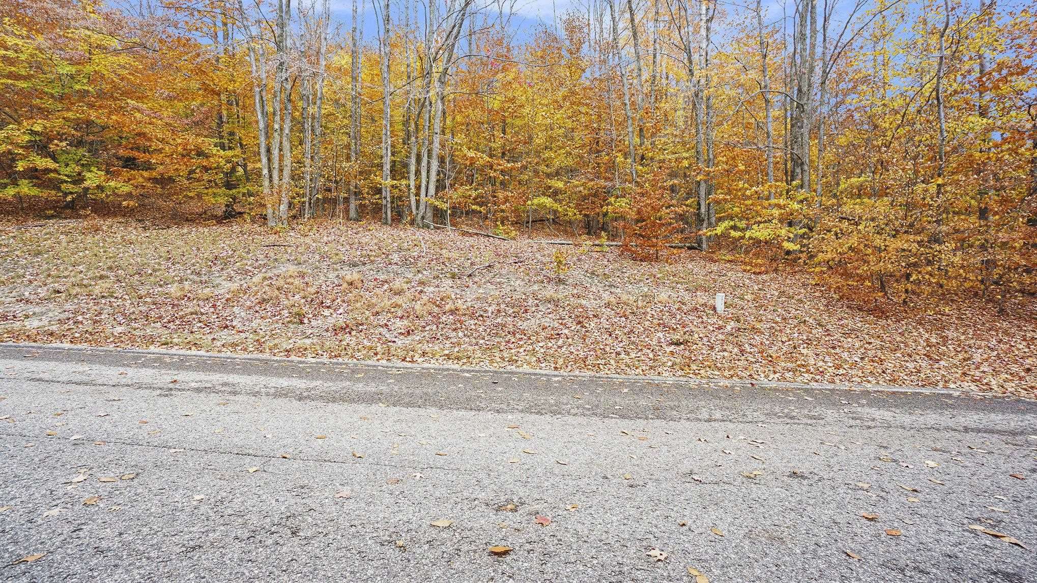 Thompsonville, MI 49683,Lot 12 Mountain Woods